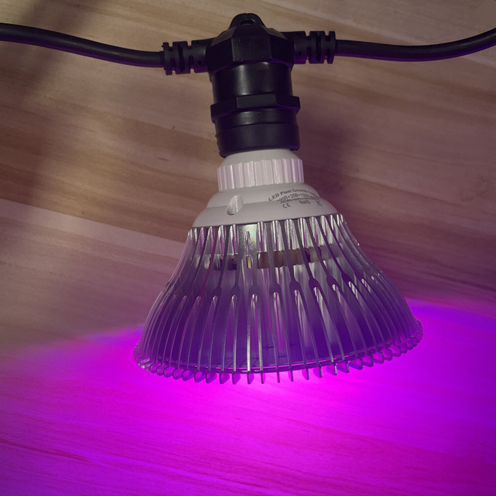Kabel LED 10M Kelas Komersial  - Outdoor Lighting Construction ulasan dan harga