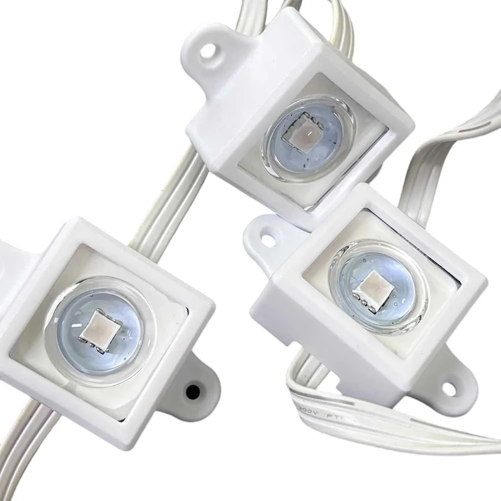 40/80 Buah Klip Lampu Festival - Outdoor Lighting Govee ulasan dan harga